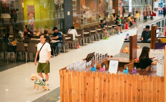 Best Food at Tanjong Pagar Plaza Beyond Hawker Fare